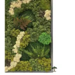 Картина «Deep Forest»