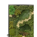 Картина «Deep Forest»