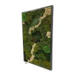 Картина «Deep Forest»