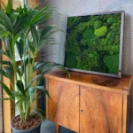 Картина «Forest» K48