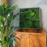 Картина «Forest» K48