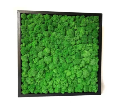 Картина «Green Forest»
