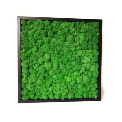Картина «Green Forest»