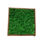 Картина «Green Forest»