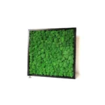 Картина «Green Forest»