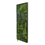 Картина «Jungle» K78