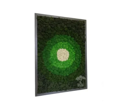 Картина «Magic circle» K49