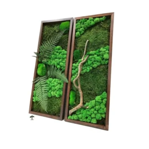 Картина «Mushrooms forest» Орех K26