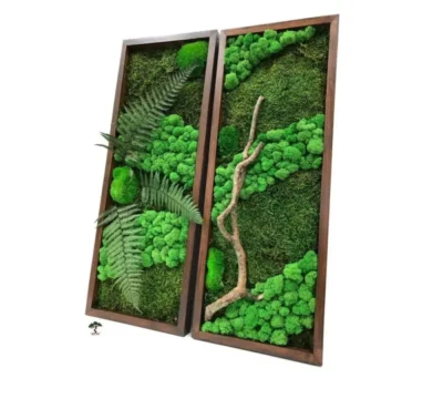 Картина «Mushrooms forest» Орех K26