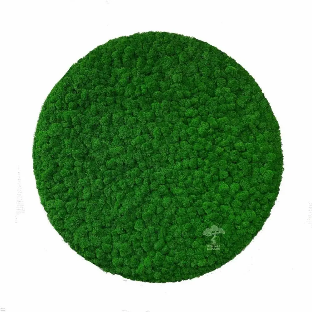 Круги из мха Круги из мха