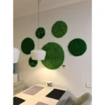 Круги из мха