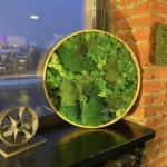 Круглое панно с мхом и растениями «ART Les» IP60