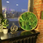 Круглое панно с мхом и растениями «ART Les» IP60