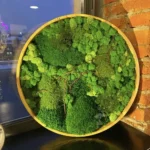 Круглое панно с мхом и растениями «ART Les» IP60