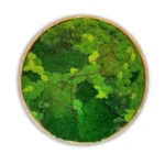 Круглое панно с мхом и растениями «ART Les» IP60