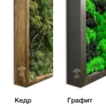 Модульная картина «Forest three»