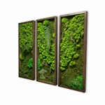 Модульная картина «Forest three»