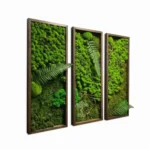 Модульная картина «Forest three»