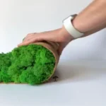 Панель из мха Ягель (цвет на выбор)