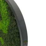 Панно из мха с подсветкой «Инь-Янь» IP38
