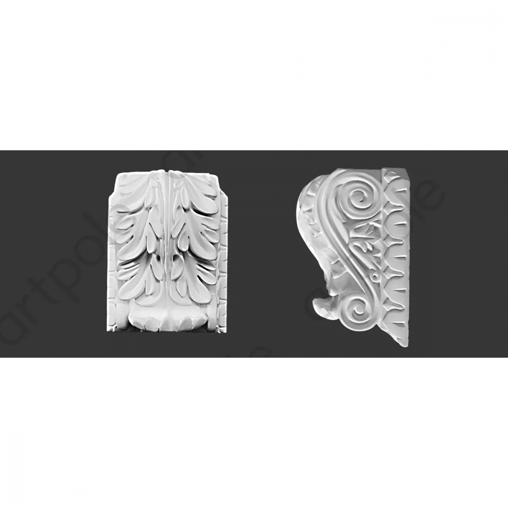 SKN1_B