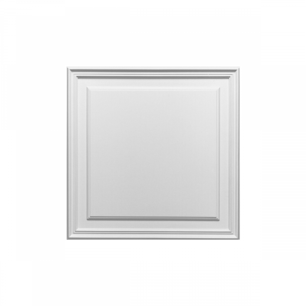 Декоративный элемент D503 Декоративный элемент D503 - Orac Decor