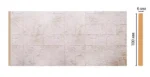 Декоративная панель Decomaster R10-24 100*6*2400мм