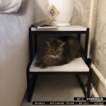 Прикроватная тумба лесенка конструктор ARCHPOLE