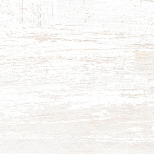 20x40