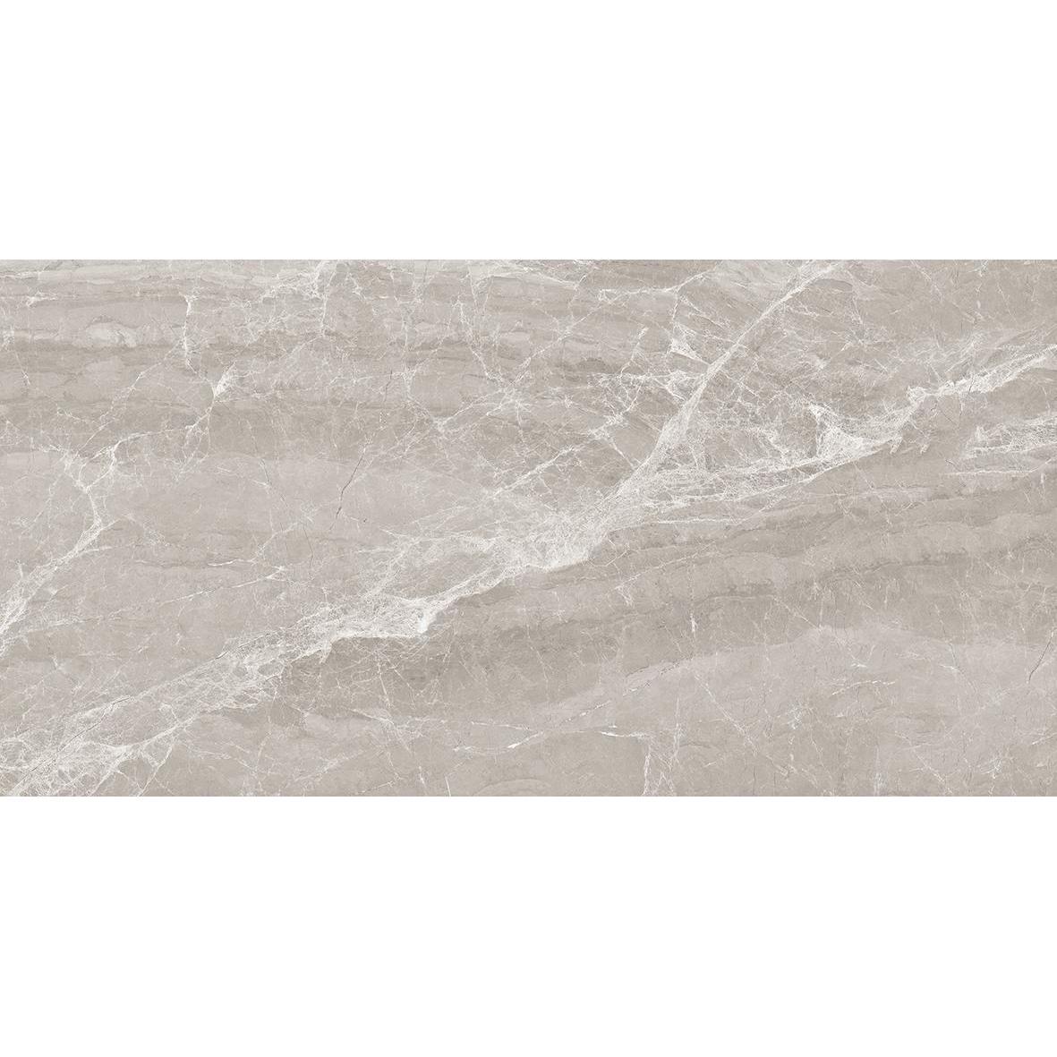 Nostalgic silver керамогранит полированный 60x120 LAPARET Nostalgic silver керамогранит полированный 60x120 LAPARET