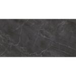 Olimpus чёрный 25x50 LAPARET