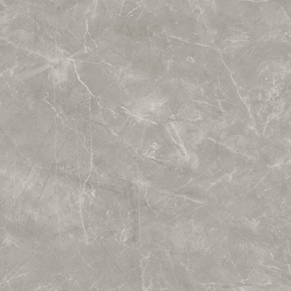 Wolf grey керамогранит сатинированный 80x80 LAPARET Wolf grey керамогранит сатинированный 80x80 LAPARET