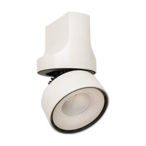 Светильник ROTER LC Forstlight