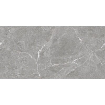 Stone cool grey Керамогранит серый Полированный 60x120 LAPARET