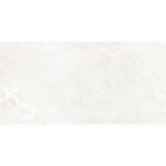Novelle gris Керамогранит Полированный 60x120 LAPARET