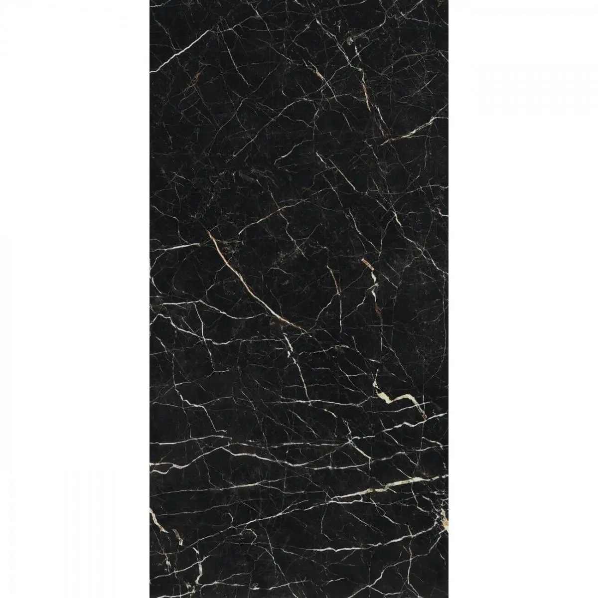 8c36989f7e82431c3e3e654d77bfb6d3