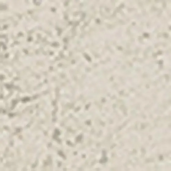1f332de32a468f80603332005e45f391